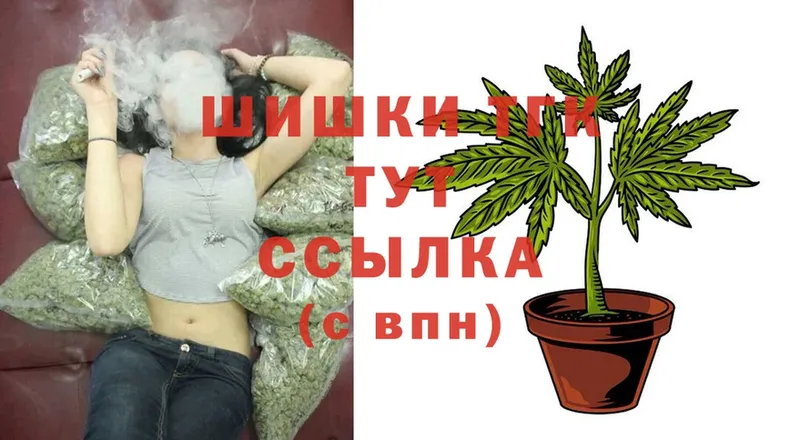 где можно купить наркотик  Будённовск  Каннабис White Widow 